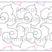 Load image into Gallery viewer, Apricot