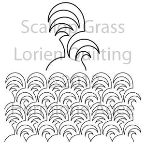Scallop Grass